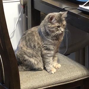 Meet your Posher, Jodie